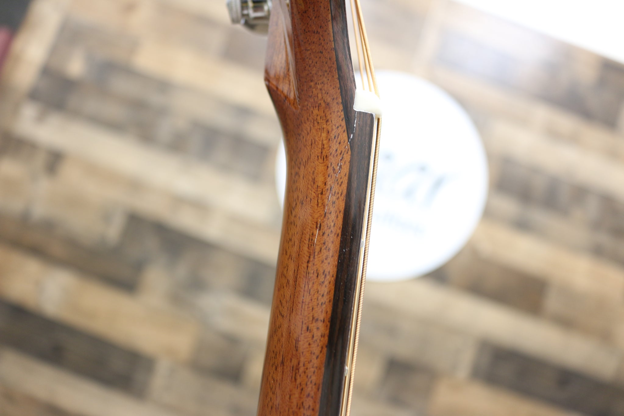 Zaar with Scars - Z690 (066)
