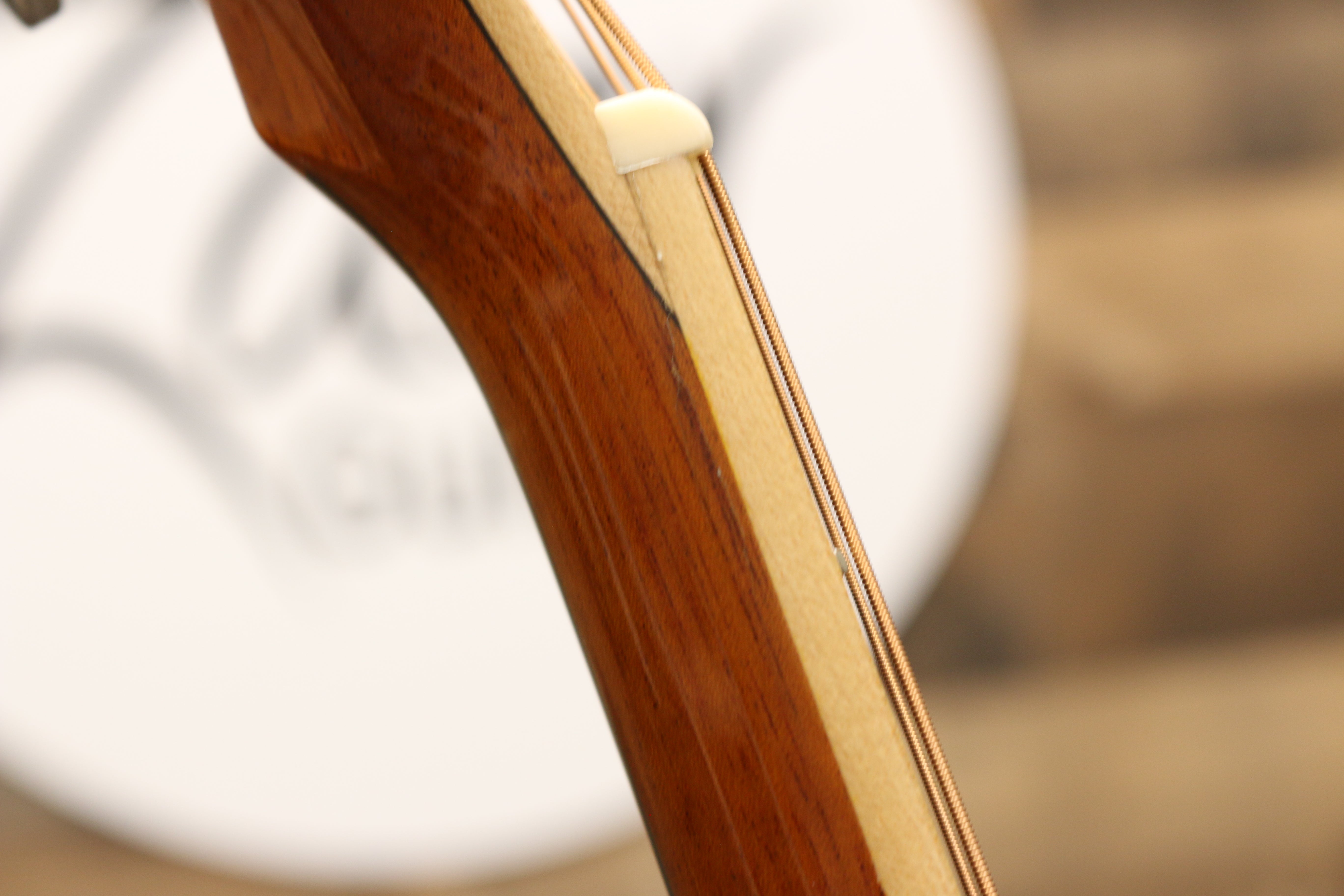 Zaar with Scars - Z540E (#046)